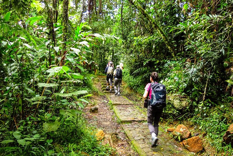 Parc national de Ranomafana- Madagascar