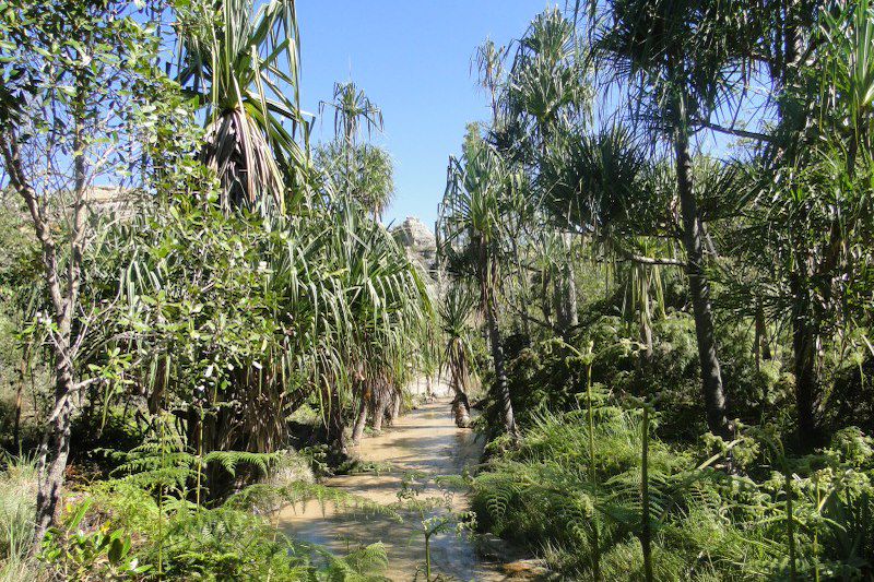 Les sites incontournables de Madagascar