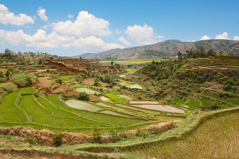 Hautes Terres - Madagascar