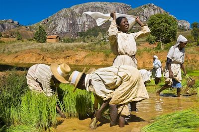 voyage Madagascar