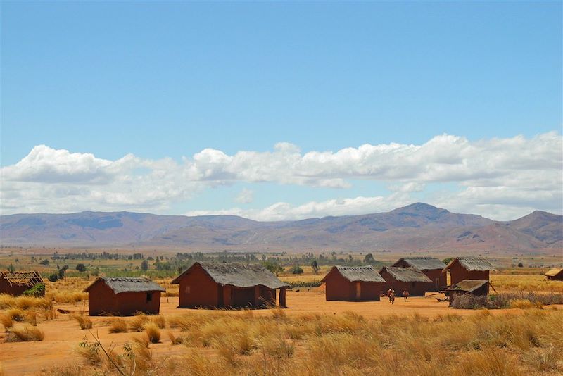 Entre Isalo et Fianarantsoa - Madagascar