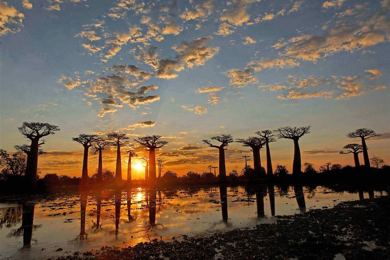 Morondava - Madagascar