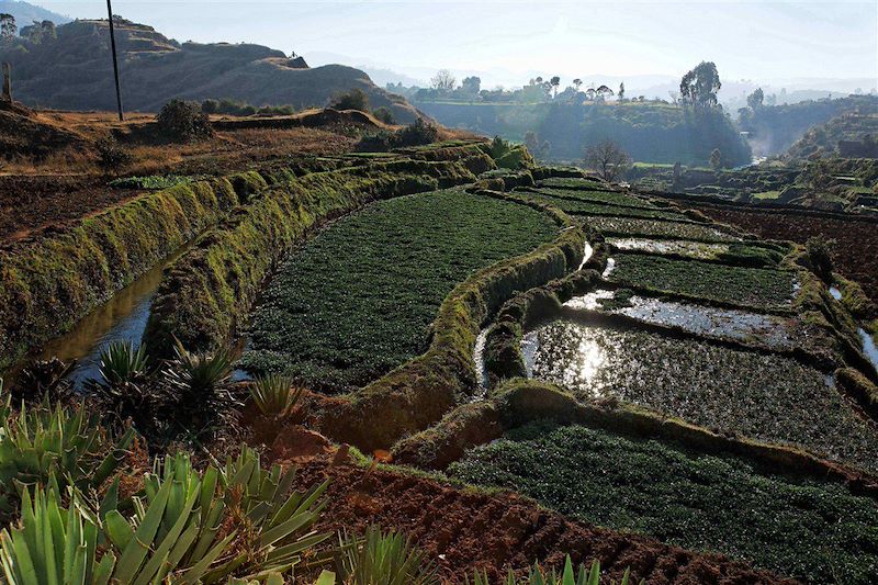 Entre Antsirabe et Miandrivazo, descente de la Rivière Tsiribihina - Madagascar