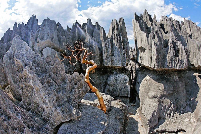 Trek du Makay aux grands Tsingy !