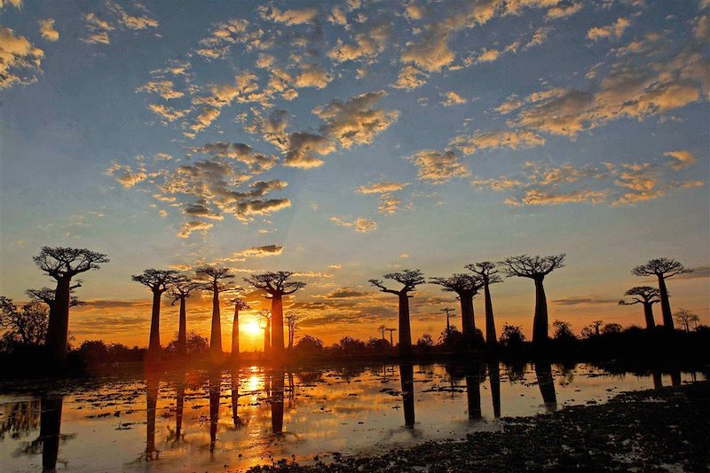 Morondava - Madagascar