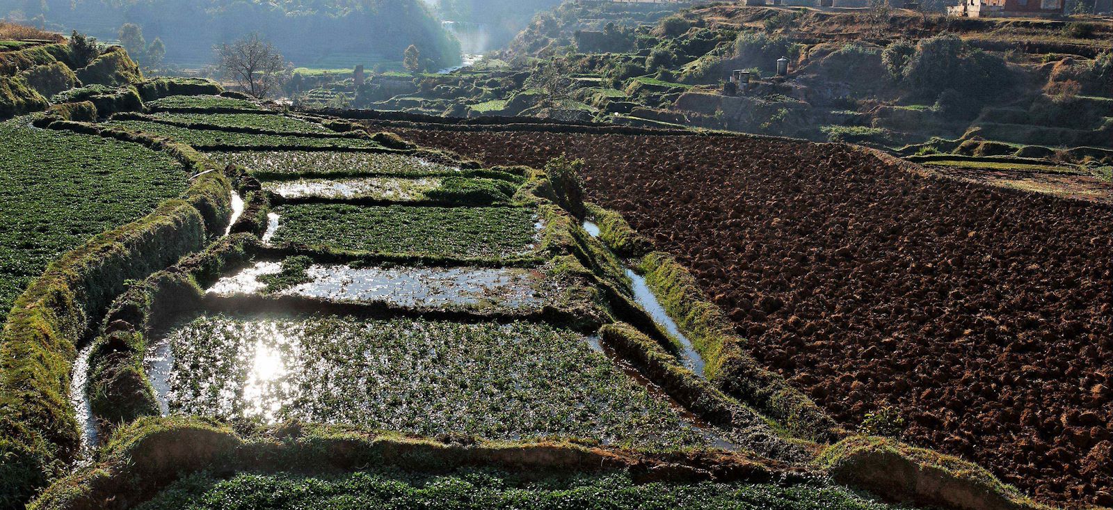 Image Trek du Makay aux grands Tsingy !