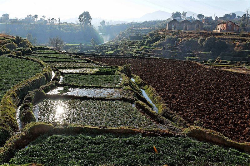 Entre Antsirabe et Miandrivazo, descente de la Rivière Tsiribihina - Madagascar