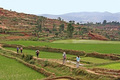 voyage Madagascar