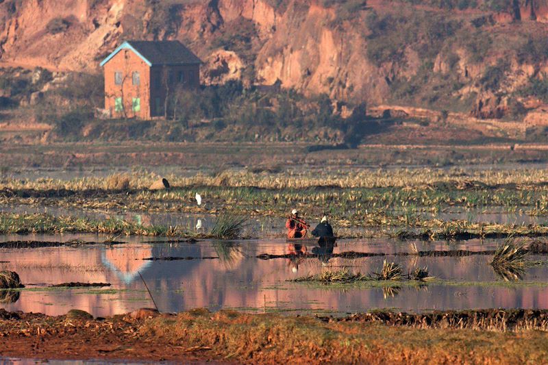 Entre Antsirabe et Miandrivazo, descente de la Rivière Tsiribihina - Madagascar