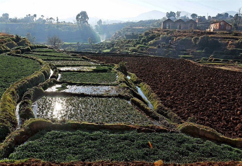 Entre Antsirabe et Miandrivazo, descente de la Rivière Tsiribihina - Madagascar