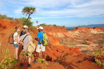 Du sud au nord : Madagascar en grand ! 3