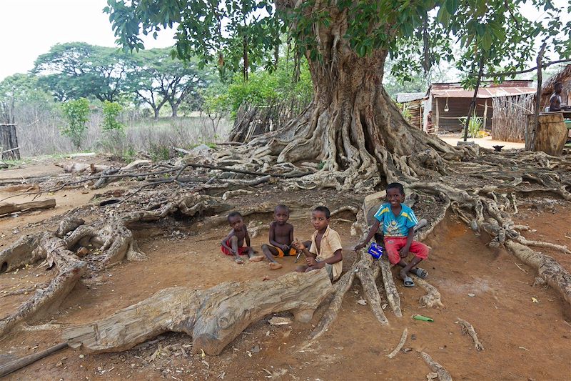 Massif de l'Ankarana - Diégo-Suarez -  Antsiranana - Madagascar
