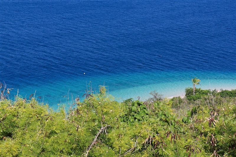 Ile de Nosy Tanikely - Nosy-Be - Madagascar