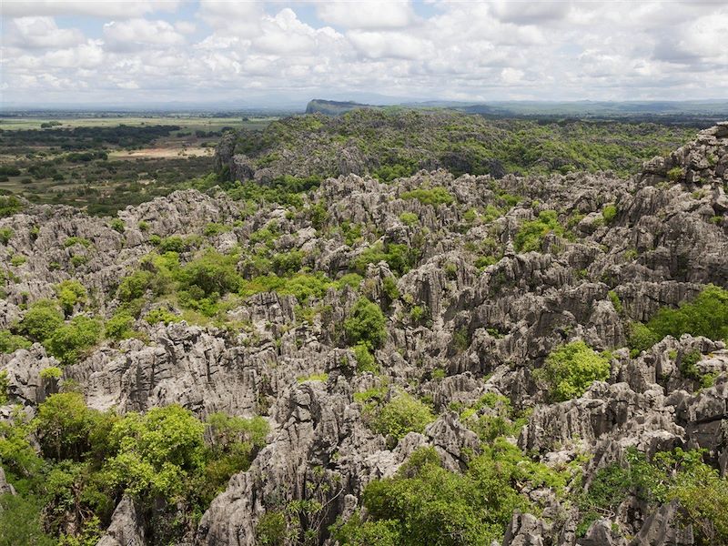 Tsingy dans le parc national d'Ankarana - Madagascar