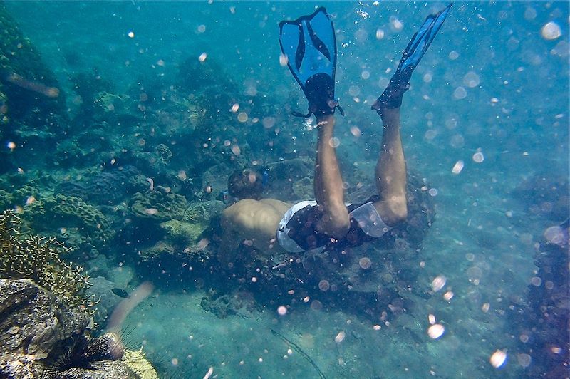 Snorkeling preès de l'île Sainte-Marie - Madagascar