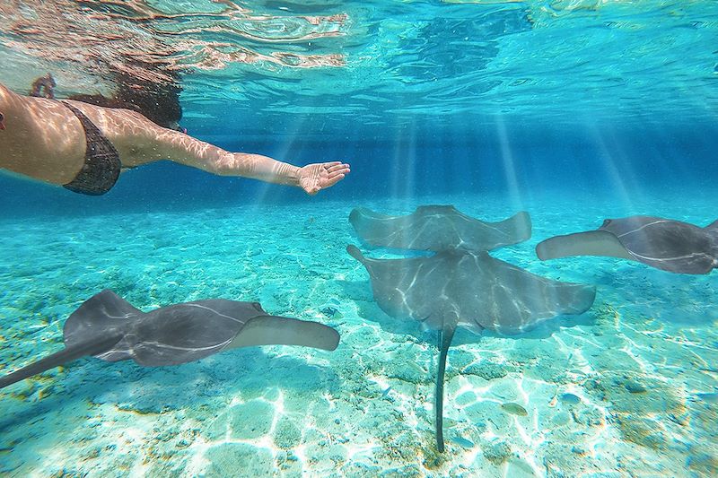 Snorkeling aux Maldives