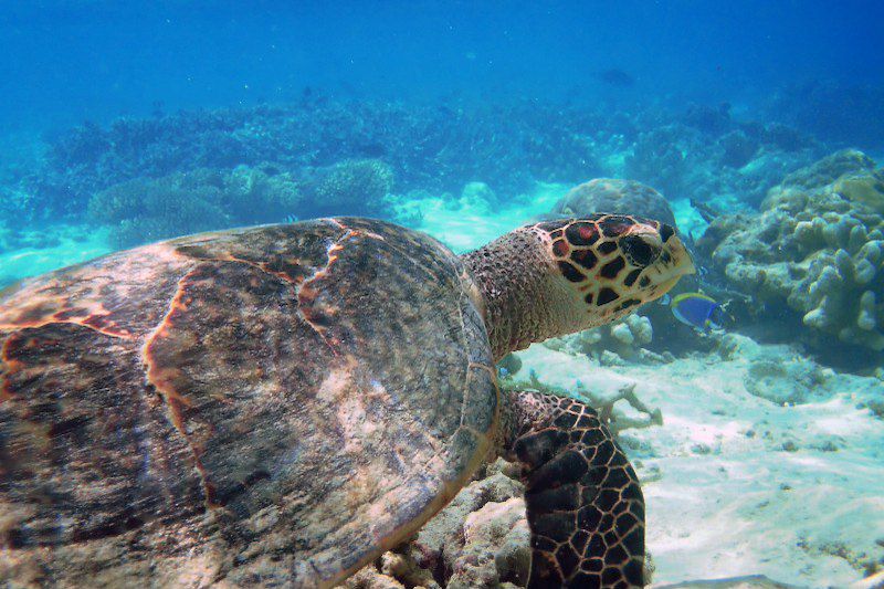 Cabotage d'atoll en lagon !