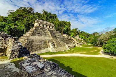Pure Chiapas 2