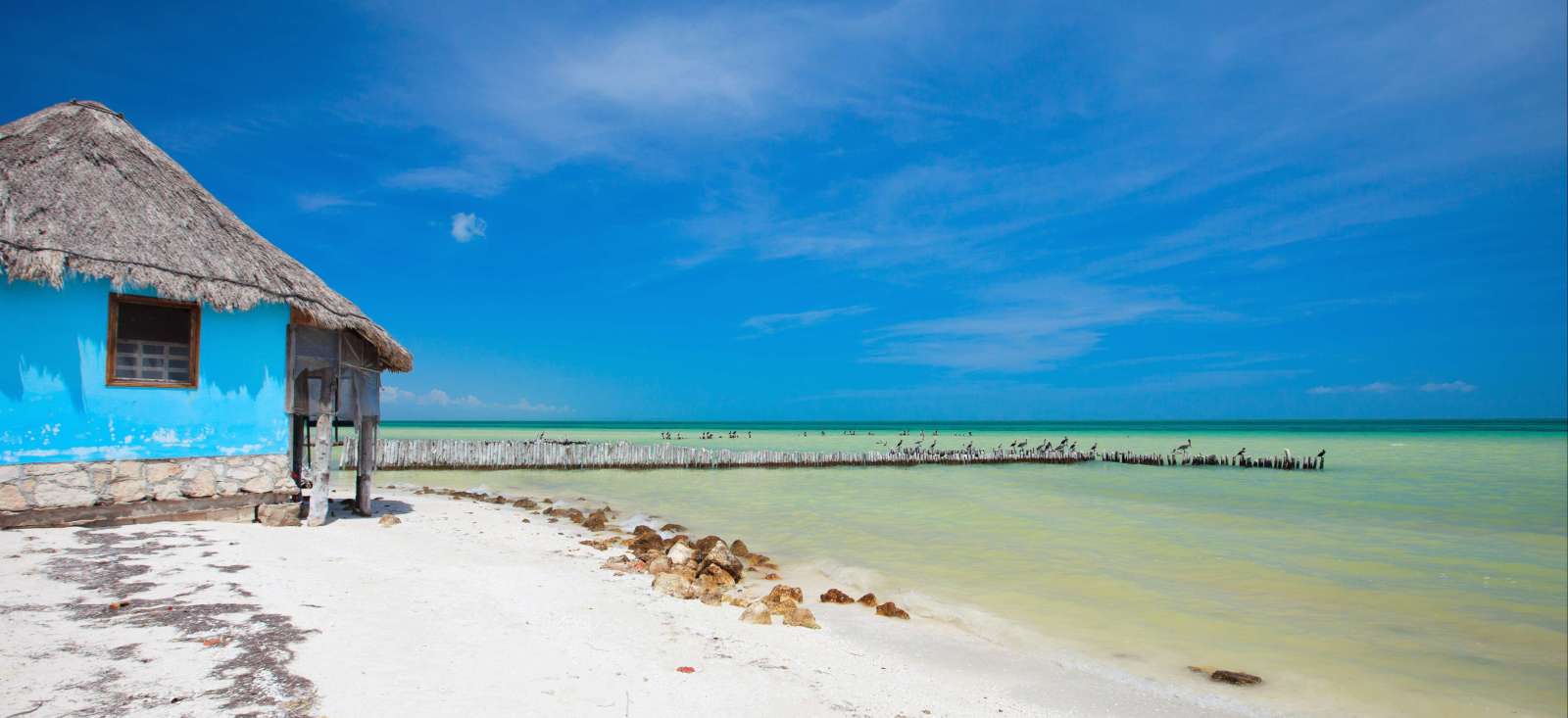 Voyage à pied Mexique : Holbox, farniente au paradis Voyage à pied Mexique : Holbox, farniente au paradis