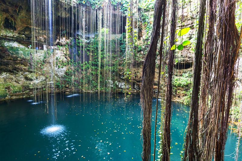 Cenote - Yucatan - Mexique