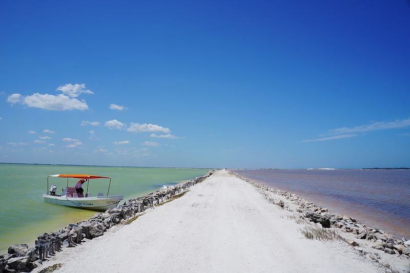 Parc naturel à Rio Lagartos - Péninsule du Yucatán - Mexique