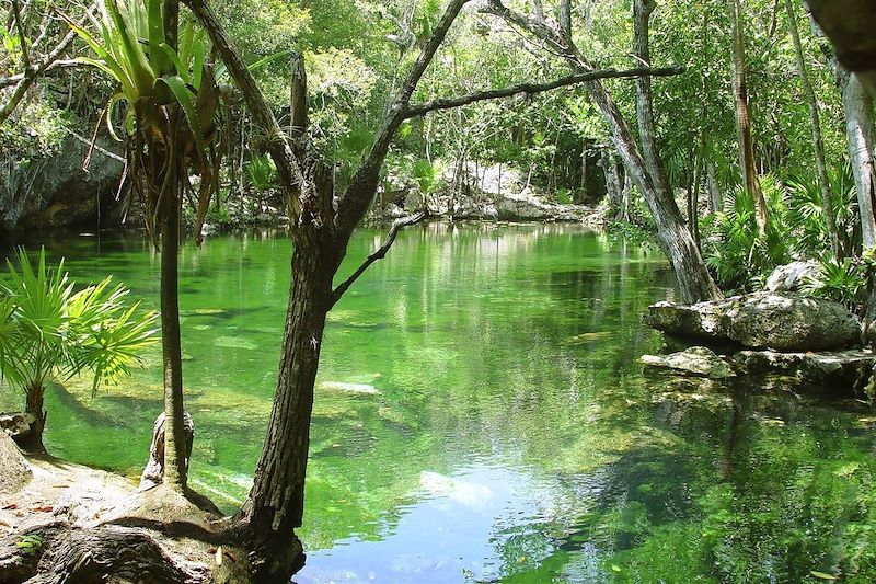 Cénote à Quintana Roo - Mexique