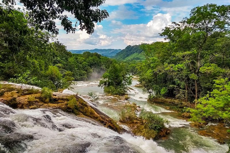 Réserve naturelle de Montes Azules - État du Chiapas - Mexique