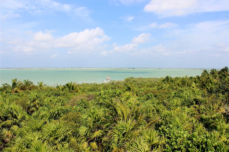 Toutes les couleurs du Yucatan ! 