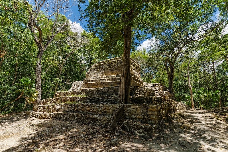 Toutes les couleurs du Yucatan ! 