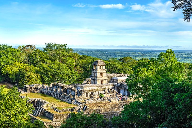 Parc National de Palenque - Chiapas - Mexique