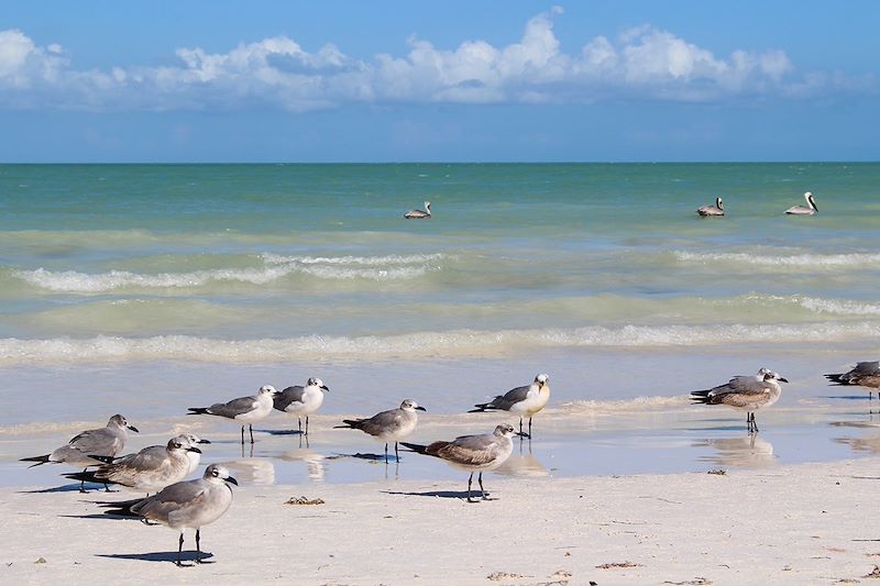 Mexico les pieds dans l'eau