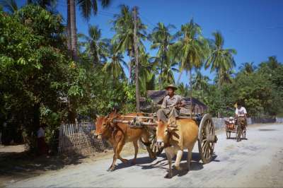 Voyage Birmanie