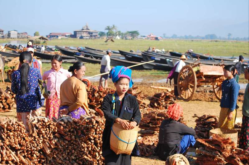 Balade en Terre Birmane