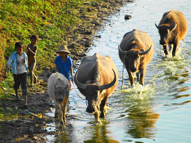 Myanmazing trip