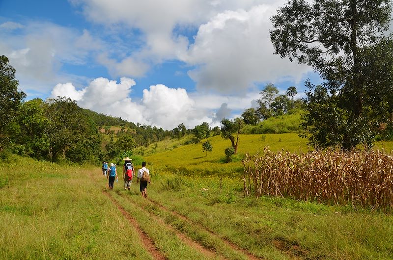 Trek en Birmanie