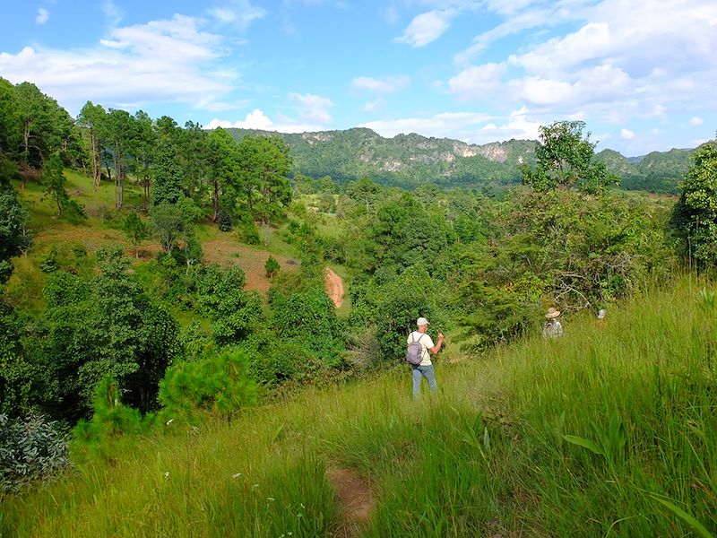 Trek de Kalaw - État Shan - Birmanie