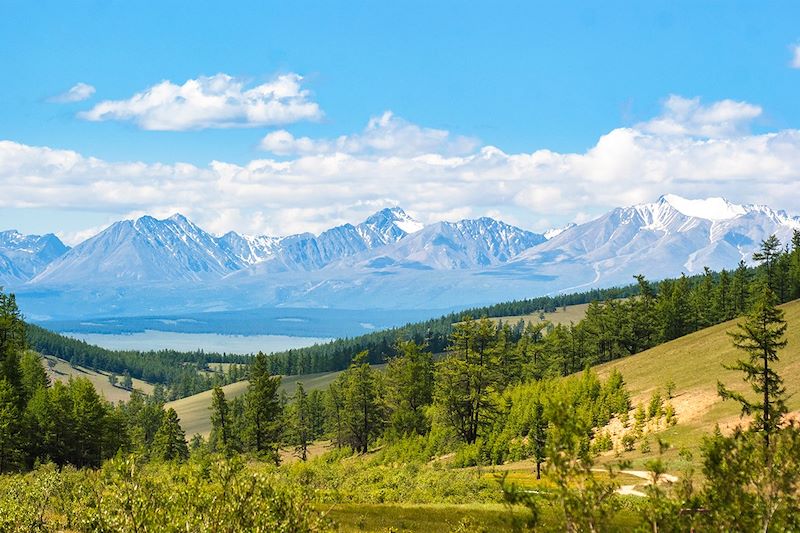 Paysages autour du lac Khövsgöl - Mongolie