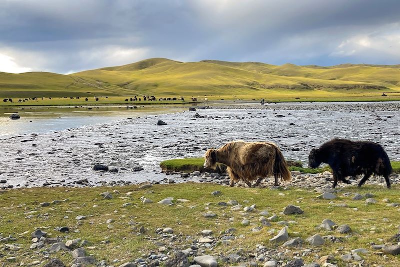 Vallée de l'Orkhon - Sum de Kharkhorin - Mongolie