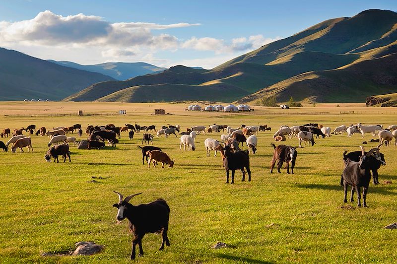 Odyssée en terre Mongole