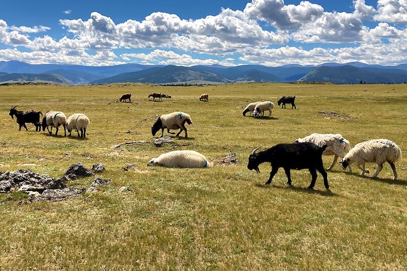 Vallée de l'Orkhon - Sum de Kharkhorin - Mongolie