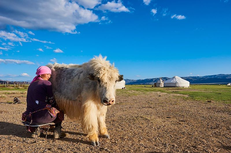 Campement dans la steppe - Mongolie