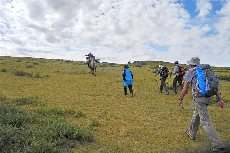 Mongol Eels - Mongolie