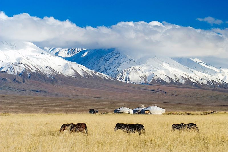 Embarquez pour un trek au cœur du fascinant parc national de Khar Us Nuur, dans la mythique région de l’Altaï