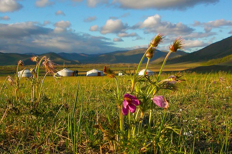 Partez pour une aventure immersive à la découverte des steppes & forêt sibérienne du Khan Khentii