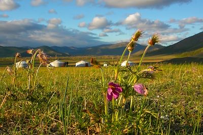 Khentii, là où commence l’aventure nomade
