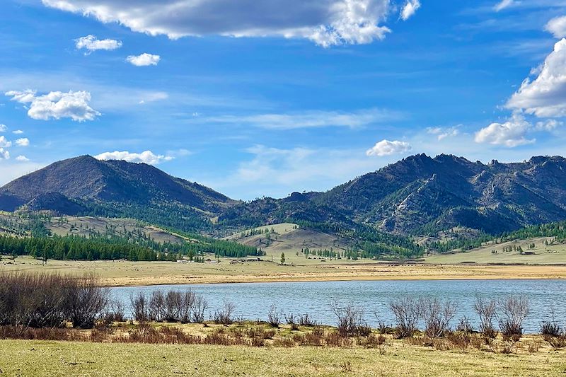 Près du lac Khangal - Monts Khentii - Mongolie