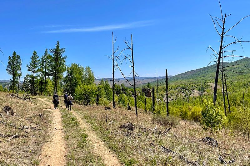 Près du lac Khangal - Monts Khentii - Mongolie