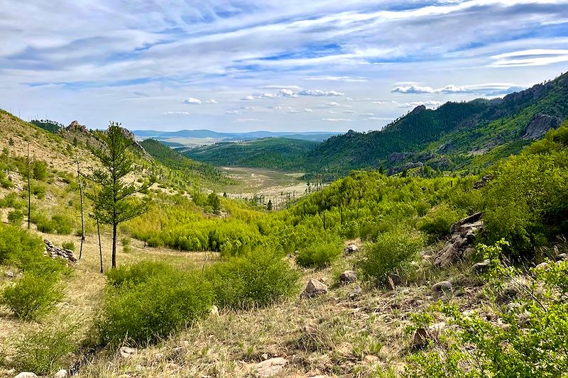 Près du lac Khangal - Monts Khentii - Mongolie