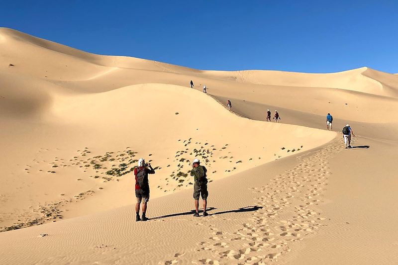 Dunes de Khongor (Khongoryn Els)- Parc national du Gobi Gurvan Saïkhan - Mongolie