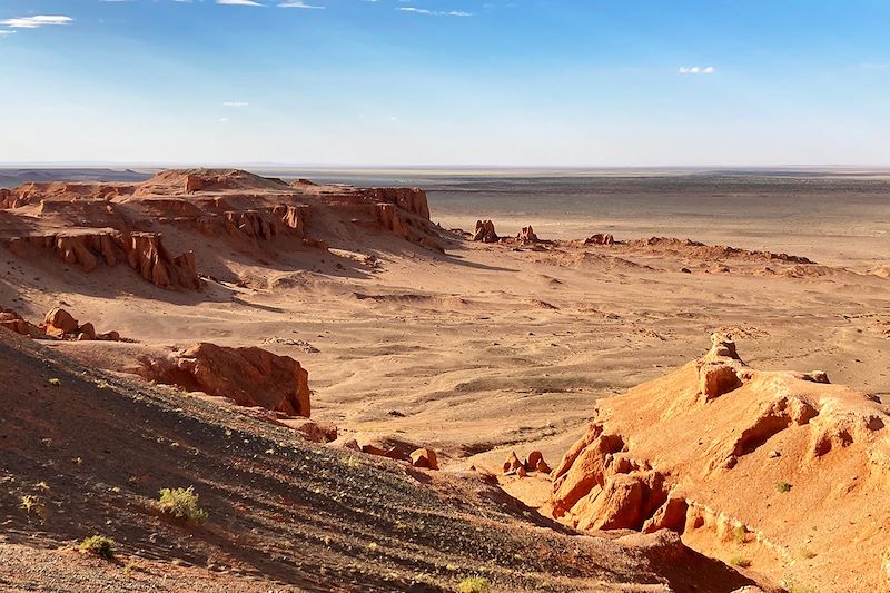 Bayanzag - Province de Ömnögovi - Mongolie